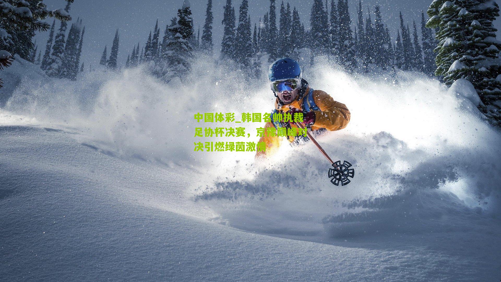 韩国名帅执裁足协杯决赛，京豫巅峰对决引燃绿茵激情